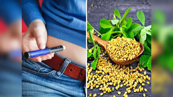 Ayurveda herbs for Diabetes: ब्लड शुगर लेवल मेंटेन रखने में जादू की तरह काम करती हैं ये 5 जड़ी बूटियां